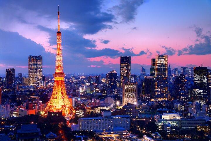 Tokyo Private Customized Day Tour