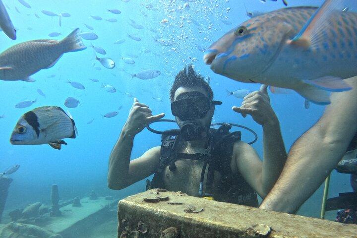 Side Underwater Museum and Scuba Diving Adventure