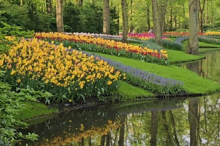 Private Tour in Van from Amsterdam to Keukenhof & Tulip Fields
