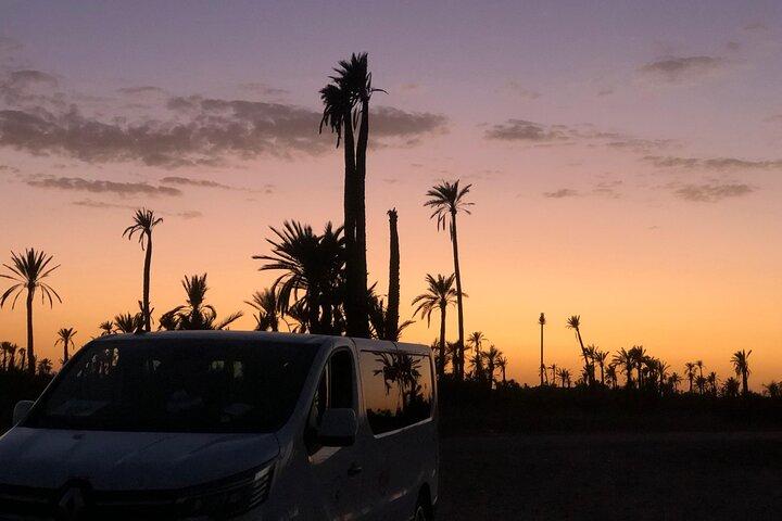 Camel Ride at the Palm Groves in Marrakech