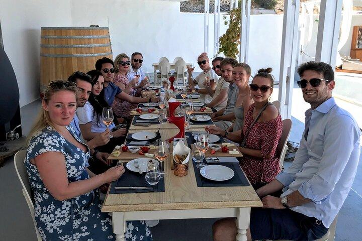 Experience Santorini: Wine Tasting Small Group Tour
