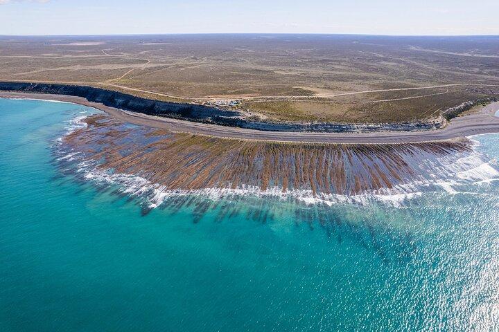 Península Valdés Full Day Tour from Puerto Madryn
