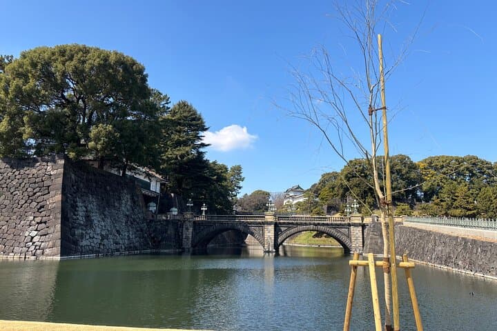 Imperial Palace and East Gardens Private Walking Tour in Tokyo