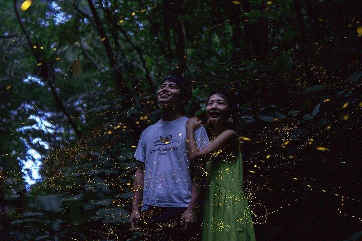【March-June】Firefly Viewing & Stargazing tour with Official Guide