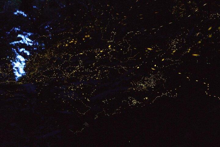【March-June】Firefly Viewing & Stargazing tour with Official Guide