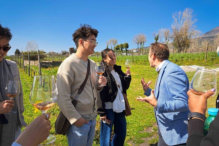 Exclusive Pompeii with Wine and Lunch on Vesuvius-Skip-the-line
