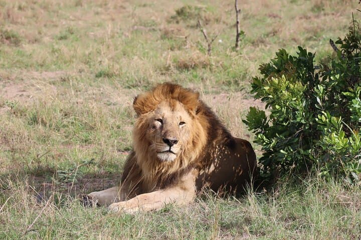 7 Days Kenya Trails