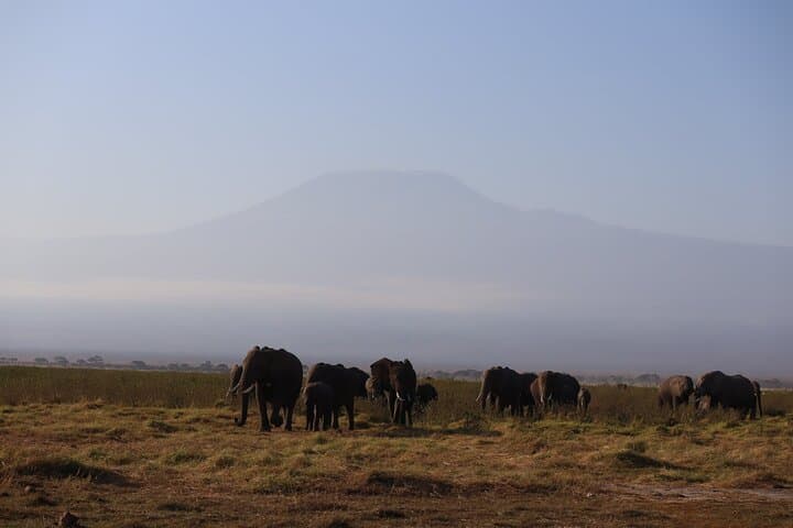 7 Days Kenya Trails