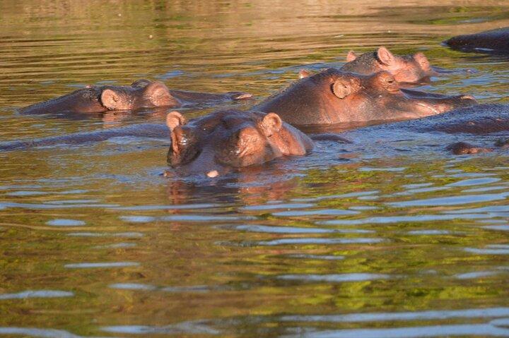 3 Days Safari Tanzania Adventures