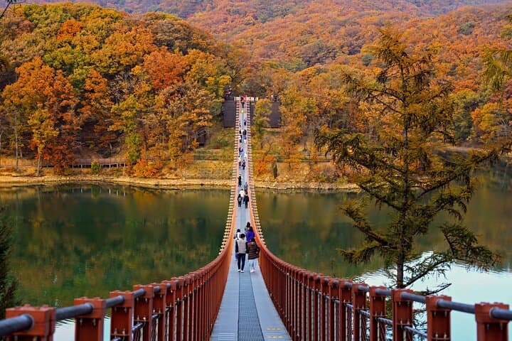 DMZ Tour Seoul to North Korea's 3rd Tunnel & Majang Lake Crossing