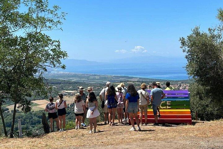 Full Day Olive Oil Farm and Nicotera Tour with Calabrian lunch