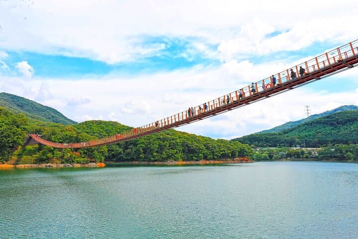 Ultimate Korea DMZ Tour from Seoul (JSA Museum & Bridge Crossing)