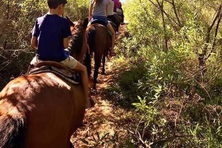 Quilombo Visit with Horse Backriding in Beach and Waterfall Tour