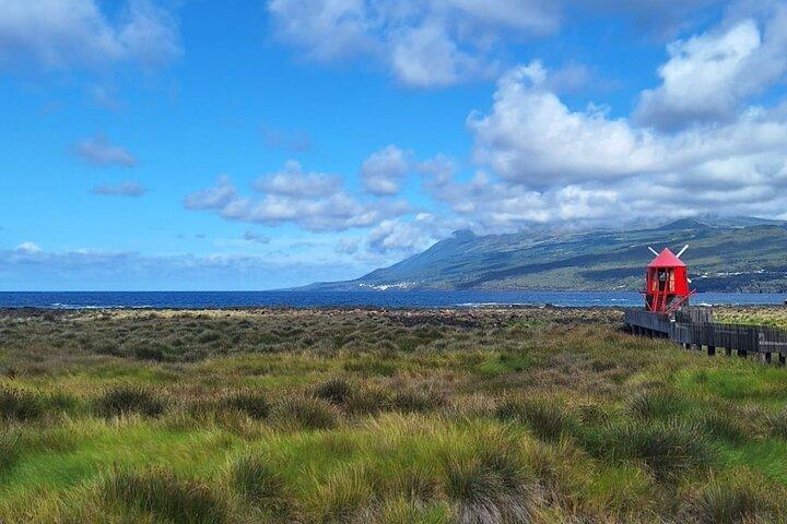 Pico Island highlights - Private tour (+ optional wine tasting)
