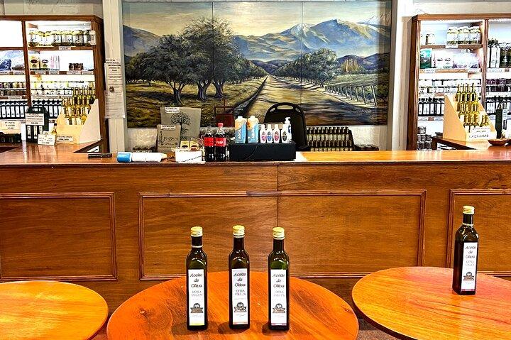 Mendoza Tour Wines Empanadas and Olive Oil