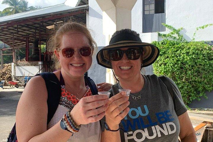 Full-Day Tour: Concord Waterfall, Chocolate Factory, Rum Distillery, Grand Etang
