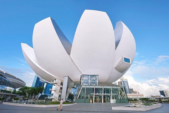 Singapore ArtScience Museum Admission Ticket