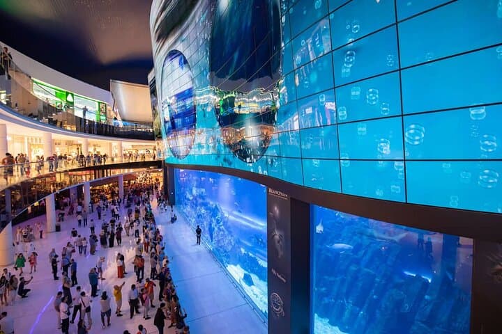 Dubai Aquarium Underwater Zoo Penguin Cove Ticket with options
