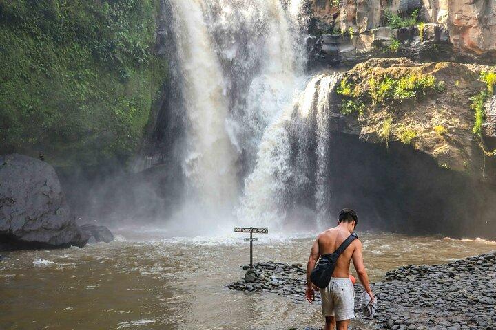 Ubud Day Tour: Sacred Monkey Forest, Tegenungan Waterfall, Rice Terrace