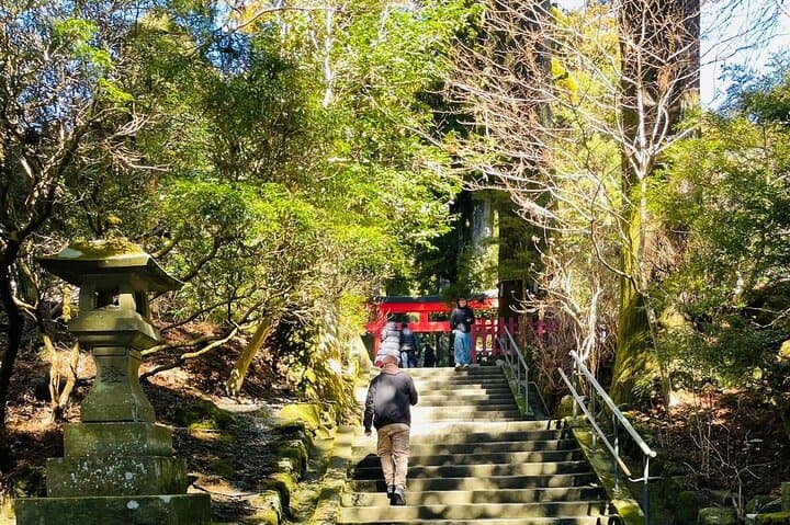 From Tokyo: Mt Fuji private 1 day customizable tour in English