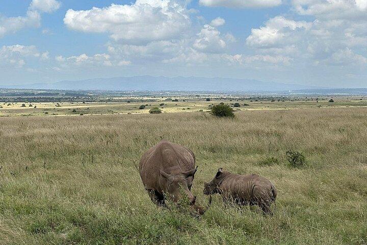 Private Nairobi National Park Game Drive Tour