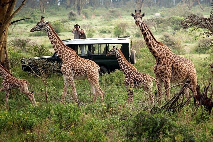 Four Day and Beyond Kichwa Tembo Luxury Safari