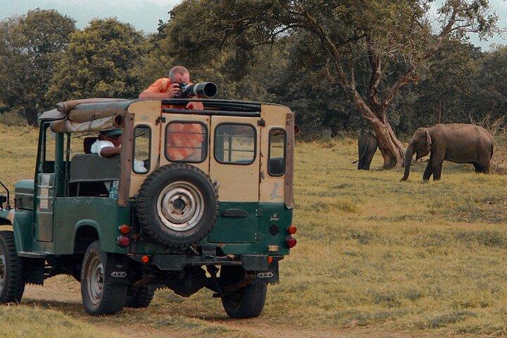 Private Tour from Mirissa to Ella with Udawalawe Safari