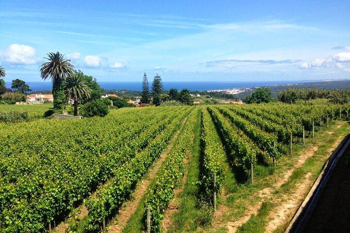 Lisbon, Sintra, Cascais: Vineyard Tasting, Local Lunch & Beach