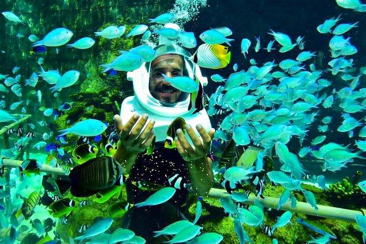 Bali Sea Walker Tanjung Benoa