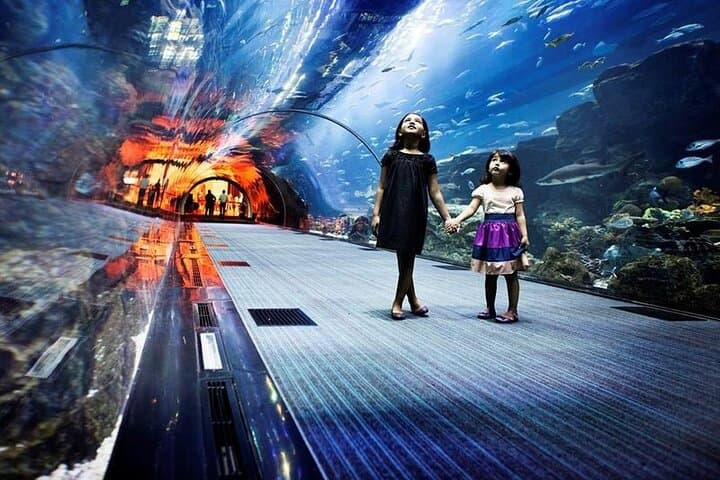 Dubai Aquarium Underwater Zoo Penguin Cove Ticket with options