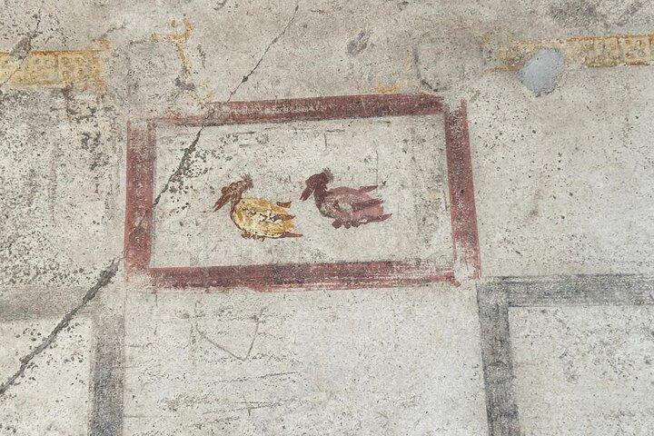 Pompeii Vesuvius and Wine tasting from Sorrento