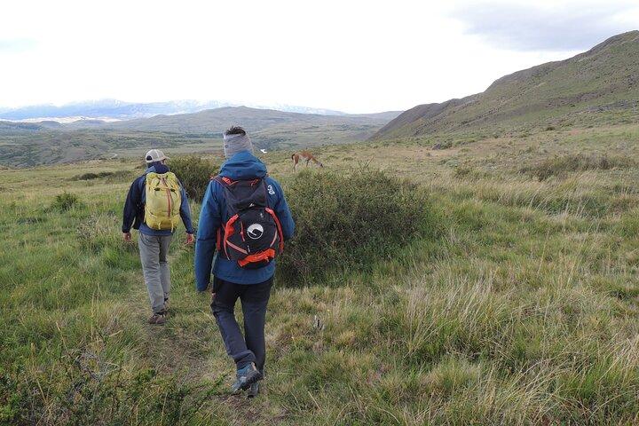 Torres del Paine Highlights Hiking Tour from Puerto Natales