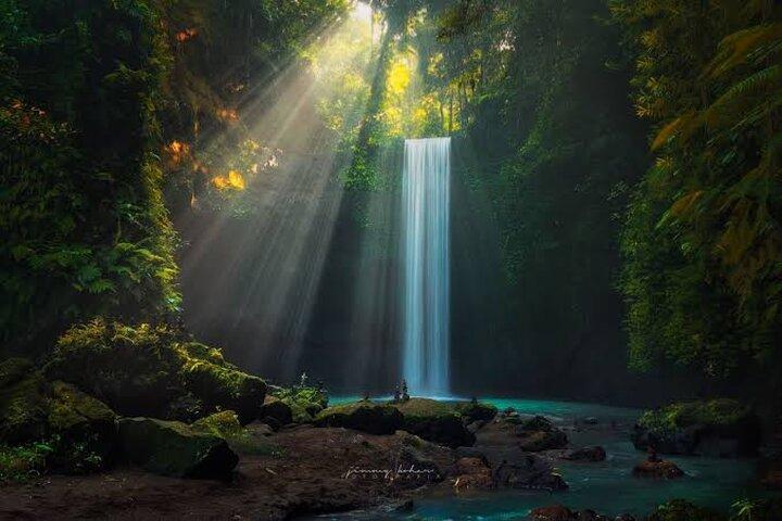 Private Day Tour To Waterfalls And Ubud Sightseeing