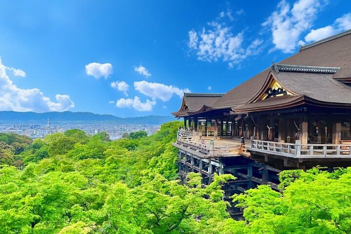Kyoto & Uji: Full Day Sightseeing Tour from Osaka or Kyoto