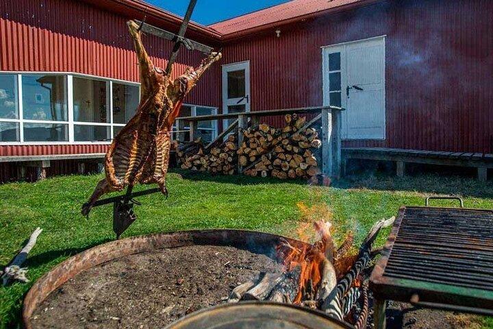 Traditional Patagonian Ranch (estancia) Day Tour Puerto Natales