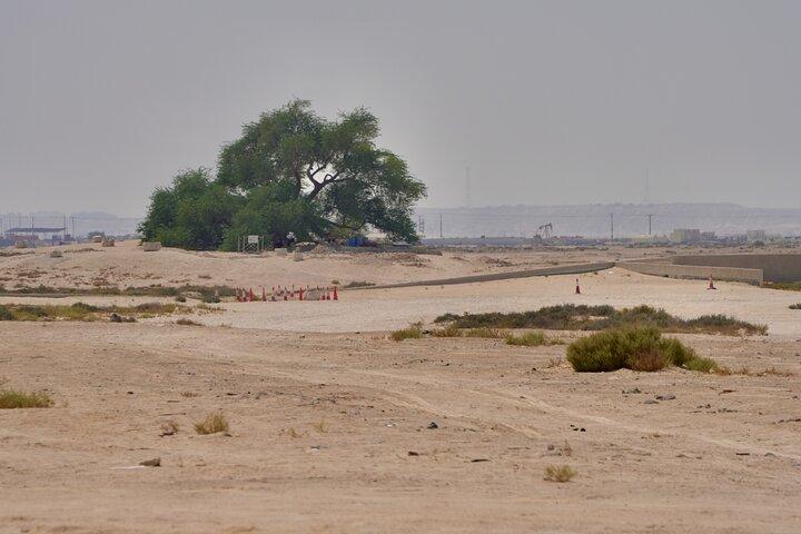 Manama : Day from South to North to Discover Bahrain