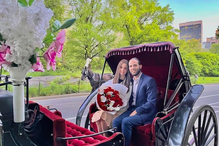 VIP Central Park Champagne Tour with Photos(50 min)~Skip the line