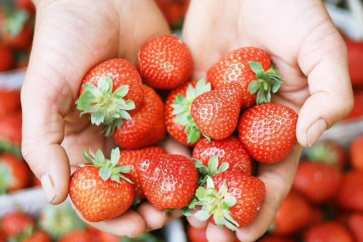 Seoul Spring Tour: Strawberry Picking, Gamaksan & Hanok Village