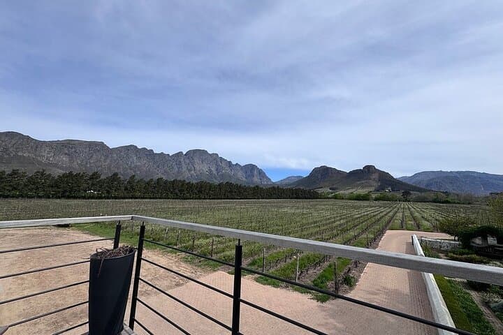 Franschhoek Wine Tram Hop-On Hop-Off Tour from Cape Town.