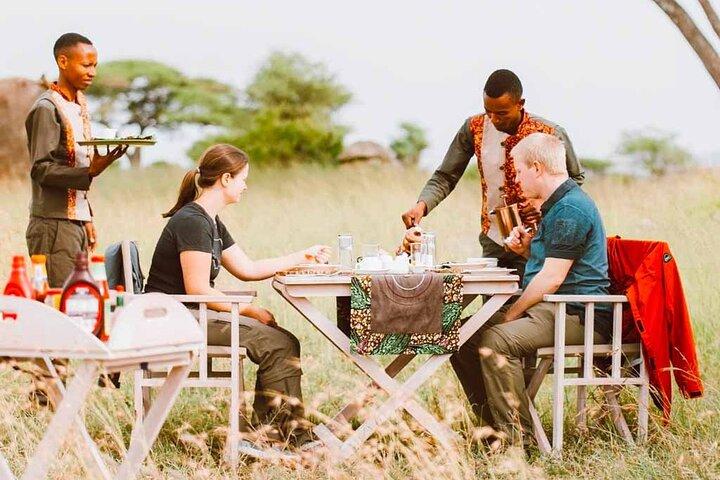 4 Days Private Safari to Serengeti and Ngorongoro