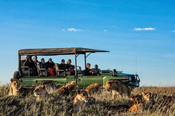 4 Days Private Safari to Serengeti and Ngorongoro