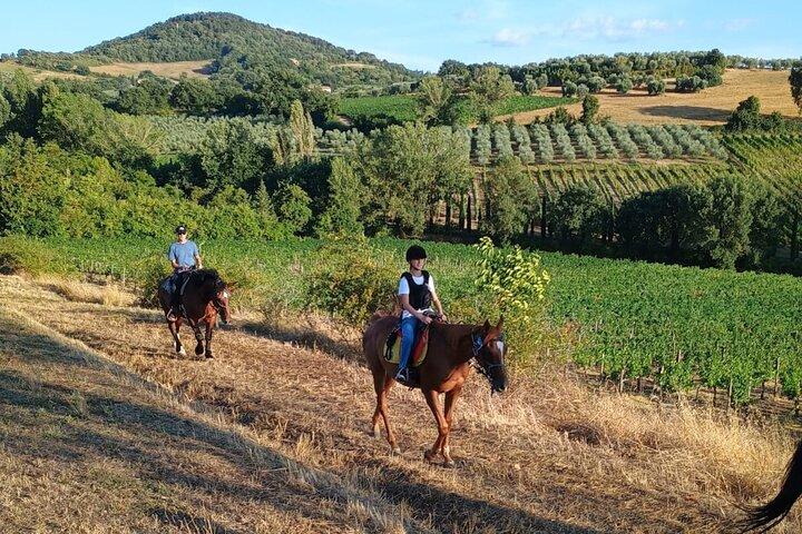 Horseback riding through the vineyards in Montepulciano Tuscany