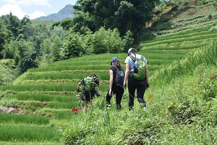 Sapa Bac Ha Market 2 Days 1 Night Exclusive Tour in hotel