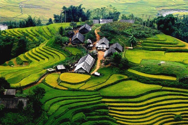 Trek Adventure in Ta Van Village, Lao Chai