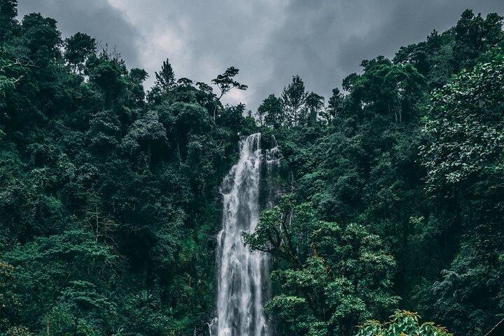 Maasai Village, Materuni Waterfalls & Coffee Tour