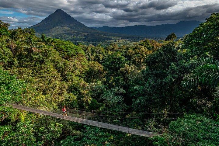 Mistico Hanging Bridges & La Fortuna Waterfall Tour with Lunch