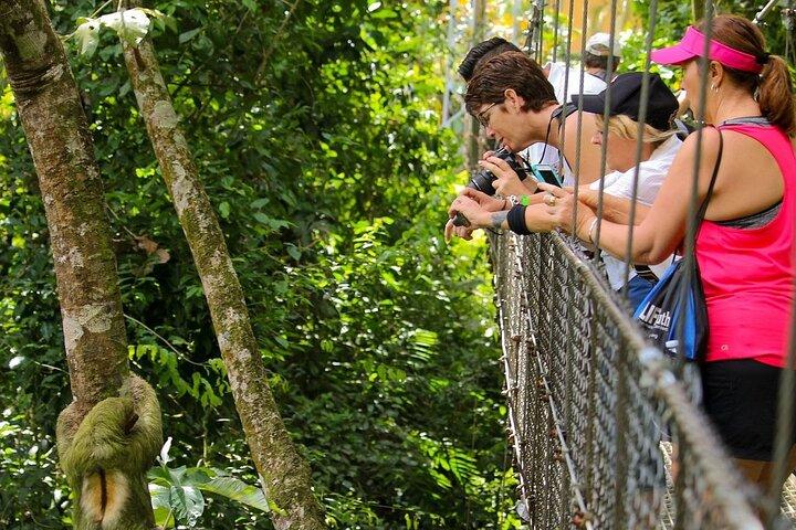 Mistico Hanging Bridges & La Fortuna Waterfall Tour with Lunch