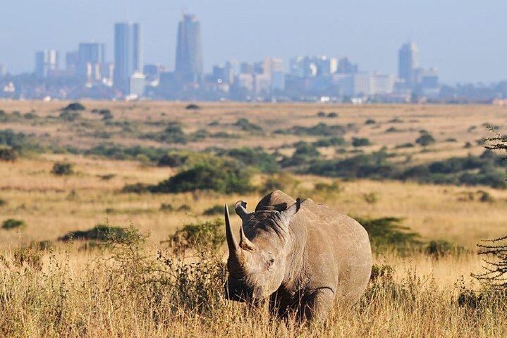 Nairobi National Park Sheldrick Wildlife and Giraffe Center