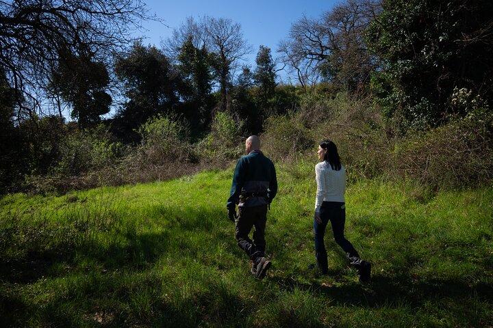 Truffle Hunting, Lunch & Cooking Class in Rome's Countryside