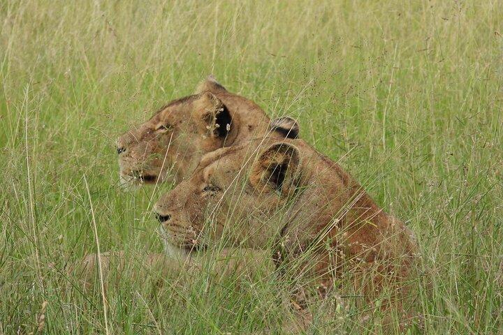 3 Days Murchison Falls National Park with Bigfive